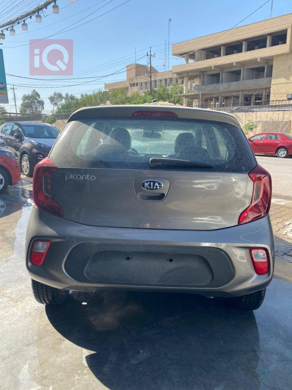 کیا پیکانتۆ
